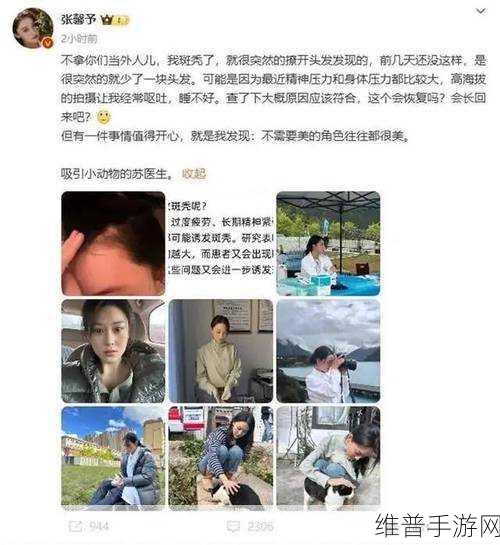 张馨予事件：张馨予事件背后的娱乐圈纷争与情感纠葛揭秘