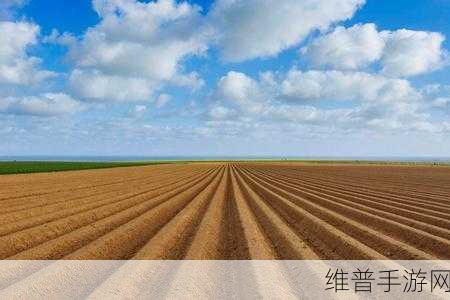 耕种妈妈肥沃的土地美国：耕种美国肥沃土地，拓展农田复兴美好未来