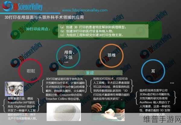 3d内幕爆料平台：揭秘3D内幕：全新爆料平台助你洞悉行业真相