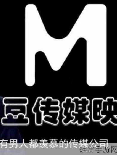 国产麻花豆剧传媒精品久久：国产麻花豆剧传媒：引领精品文化新潮流