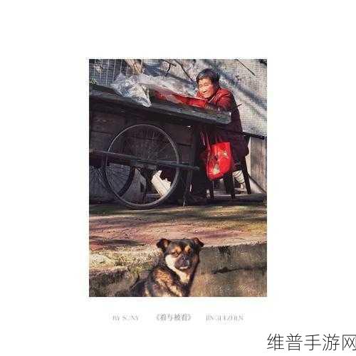 老镖客城中村扫街小少内容：老镖客城中村街头探险：小少的扫街日记与奇遇