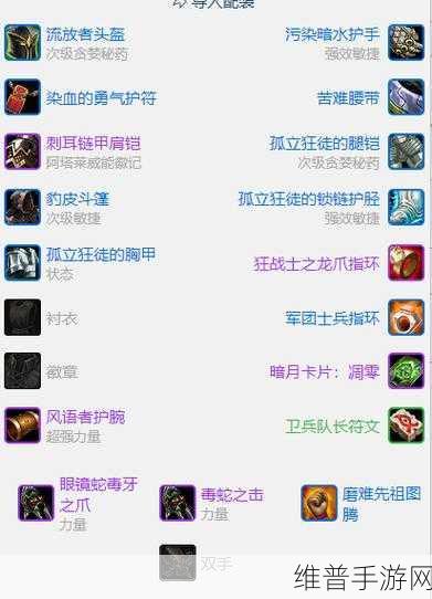 wlk增强萨满装备属性优先级:WLK增强萨满装备属性优先级全面解析与推荐