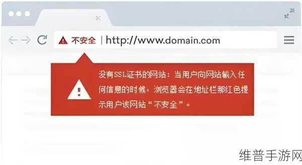 能打开违规网站的浏览器：安全又便捷的浏览器，助你轻松访问违规网站。