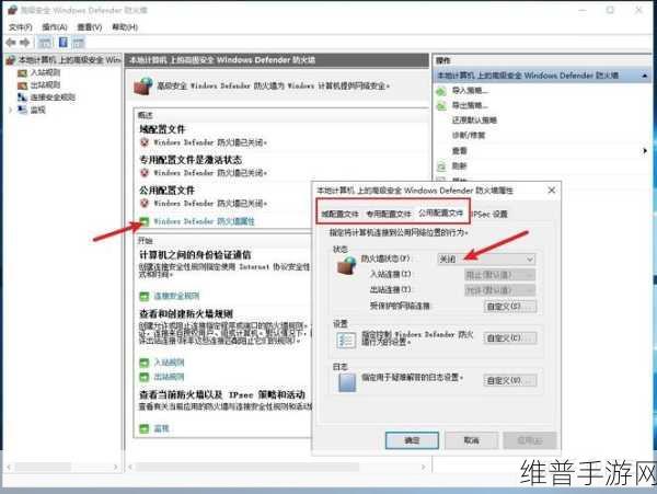 欧美vpswindows另类：探索欧美VPS Windows的另类用法与应用场景解析