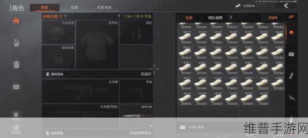 暗区突围仓库爆满应对全指南