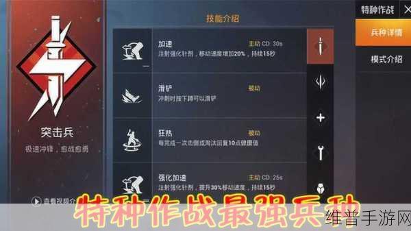和平精英特种作战，最强阵容搭配秘籍