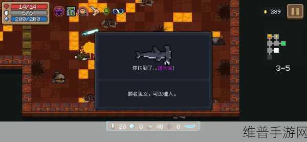 元气骑士，探究小王八爷爷的神秘作用
