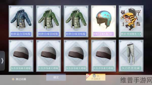 和平精英小丑鱼套装价格全解析