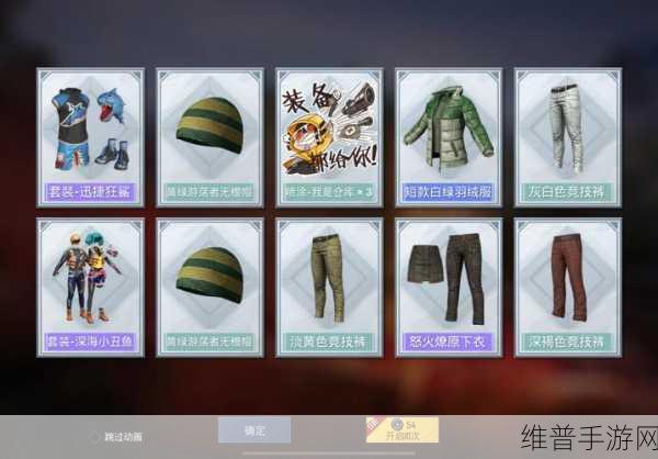 和平精英小丑鱼套装价格全解析