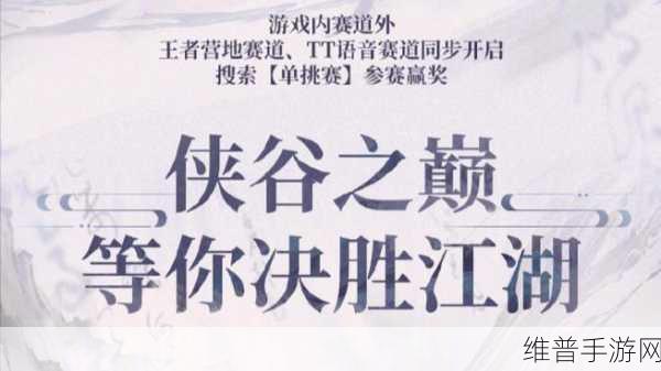王者荣耀峡谷之巅玩家的独特之处