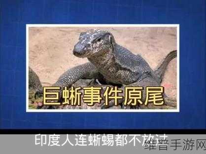 印度蜥蜴被侵害事件：印度蜥蜴遭受侵害：生态危机引发关注与反思