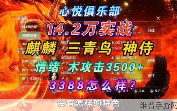 妄想山海三青鸟获取全指南，解锁神秘鸟的终极秘诀