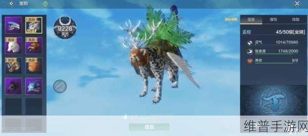 妄想山海宠物top榜：妄想山海宠物排行榜：最强伴侣大揭秘与评测