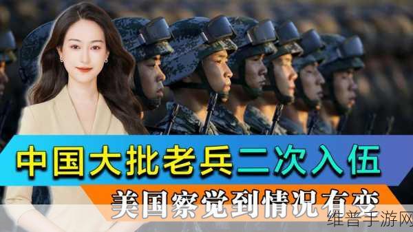 老兵二次召回最新消息：老兵二次召回最新动态：政策调整与影响分析