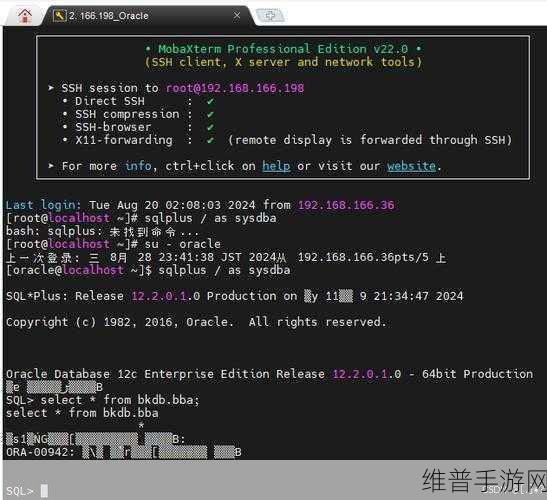日本乱码卡一卡二新区不卡：探索日本最新乱码卡一卡二新区不卡的乐趣与奥秘