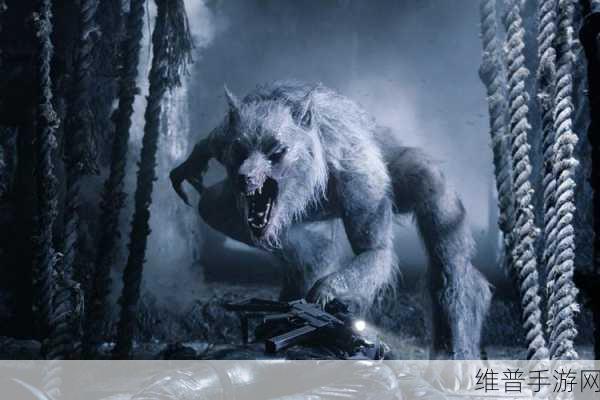 狼人德鲁伊与暗夜德鲁伊：狼人与暗夜德鲁伊的神秘交锋与奇幻冒险