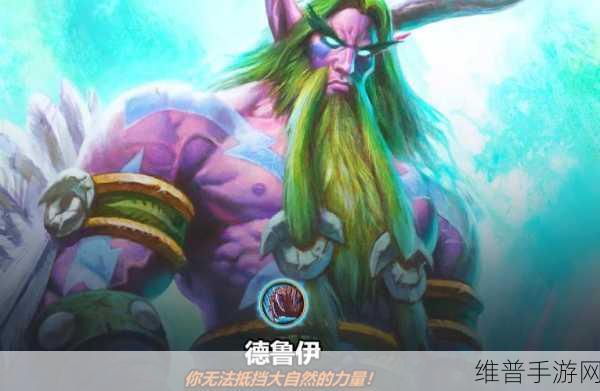 狼人德鲁伊与暗夜德鲁伊：狼人与暗夜德鲁伊的神秘交锋与奇幻冒险