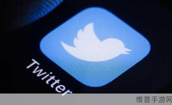 推特改名：推特全新启航：社交媒体的未来之路与探索