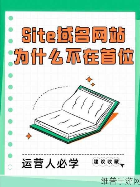by72777新域名是啥意思：探索by72777新域名的意义与应用前景分析