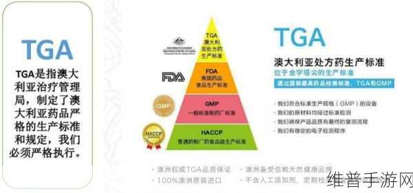 tga的评选标准是什么：拓展TGA评选标准：创新性、影响力与玩家体验综合考量