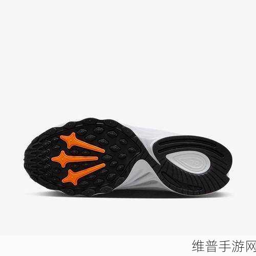 Zoom与动物Zoom最新版本：全新升级：Zoom与动物Zoom版本的功能对比与应用探讨