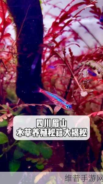 宿命回响，地下通道低层 1F 通关秘籍大揭秘