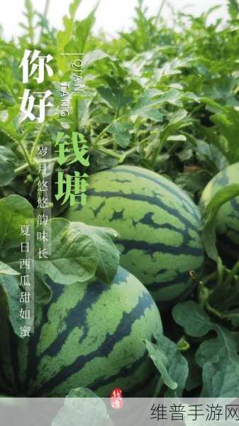 51cg吃瓜今日吃瓜必吃 猫女郎：今日新鲜吃瓜：猫女郎带你探索独特的奇趣世界！
