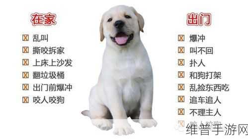 人狗胶配方大全狗狗：全面解析人狗胶配方，助力爱犬健康成长宝典