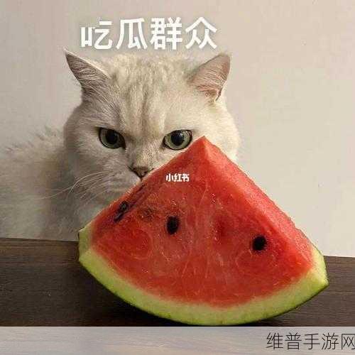 51每日吃瓜精选-往期：51每日吃瓜精选：往期精彩内容回顾与新鲜看点汇总