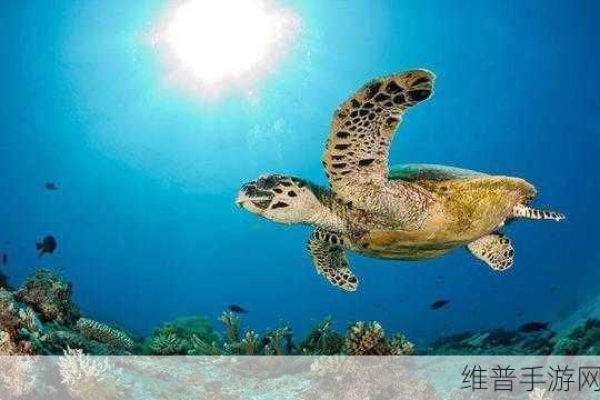 凸轮 自由 性别 管 西元：探索自由与性别的多样性：颠覆传统界限的新视角