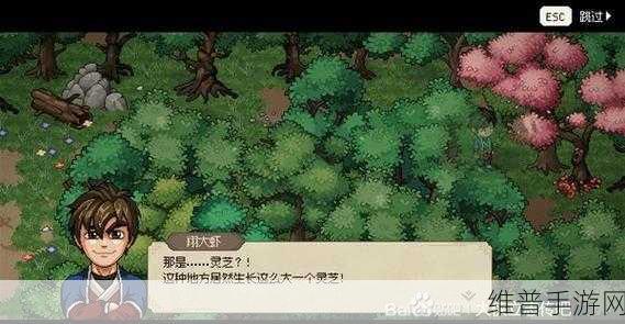 大侠立志传枪修：侠之光辉：枪修传奇与英雄梦想的交织