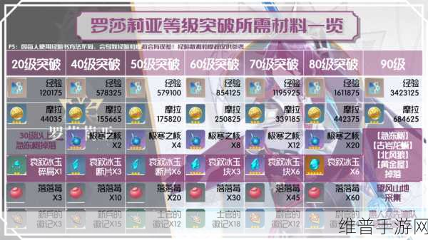 崩坏 3 罗莎莉亚装备的绝佳搭配指南