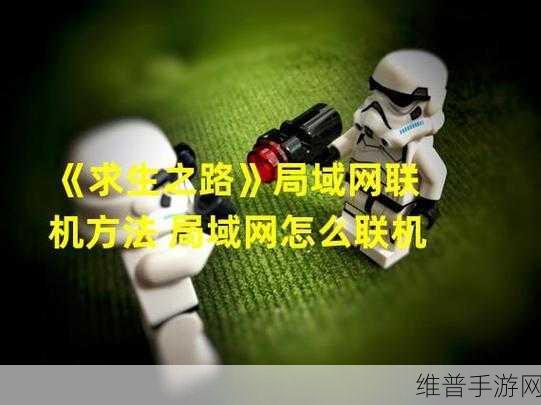 求生之路单机版怎么局域网联机：拓展求生之路单机版局域网联机详细教程与技巧