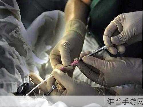 生猴子的全过程不盖被子：生猴子全过程揭秘：无被子照样快乐成长