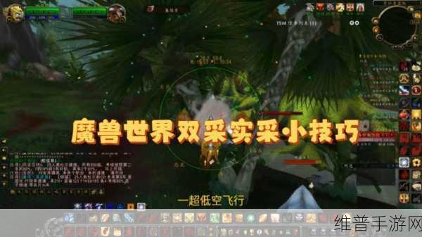 巫妖王之怒生存猎常用宏：巫妖王之怒生存猎常用宏设置与技巧详解指南