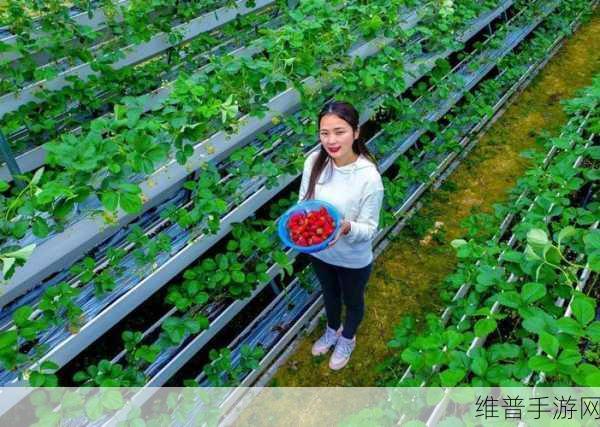 草莓视频高清无码：畅享高清草莓视频，尽情体验视听盛宴！