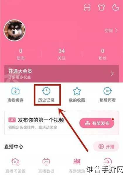 海外直播b站剧集在哪看：如何在海外观看B站剧集直播的详细指南