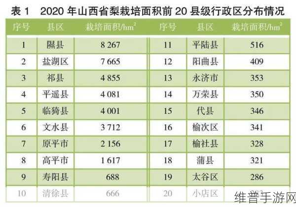 91精品国产一二三产区区别:探讨91精品国产一二三产区的差异与特点解析