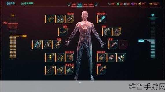 魔兽世界几丁质是关键：魔兽世界：几丁质的秘密与战略价值探讨