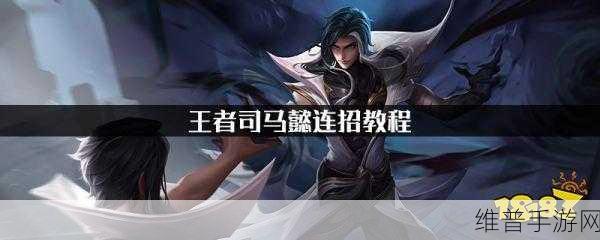 王者荣耀司马懿全方位玩法秘籍