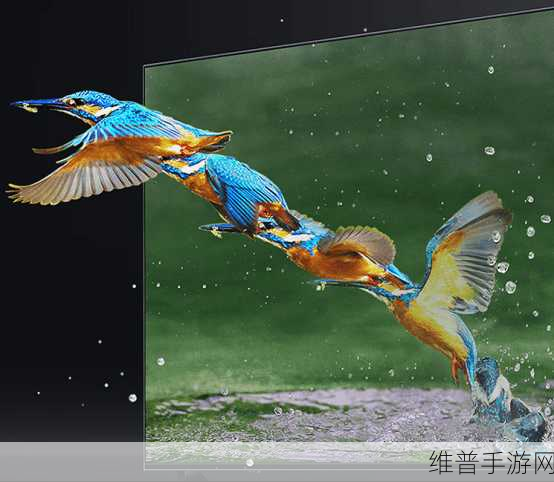 96533电视影片观看：在96533平台畅享精彩电视影片观看，尽情体验视听盛宴！