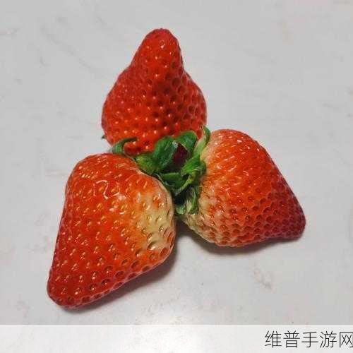 草莓视频福利导航：探索草莓视频福利导航，畅享无限精彩与乐趣！