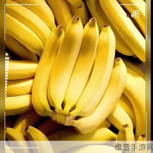 香蕉app：“香蕉App：探索无限乐趣，尽享生活每一刻！”