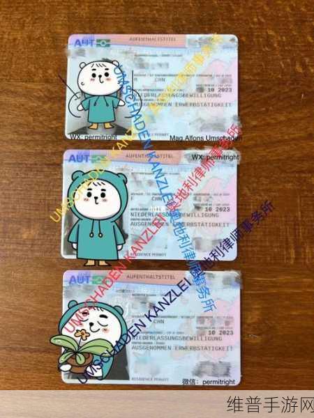 亚洲一级二级一卡二卡三：亚洲市场的一级二级一卡二卡三全攻略与发展趋势分析