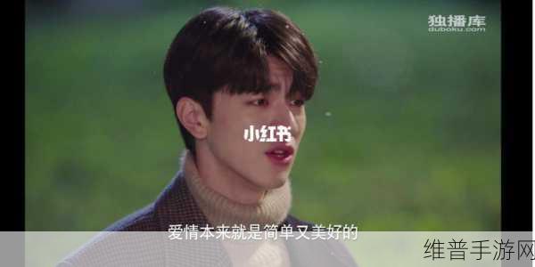有染1v2阮然：阮然在1v2对决中逆袭，爱情与战斗交织的故事