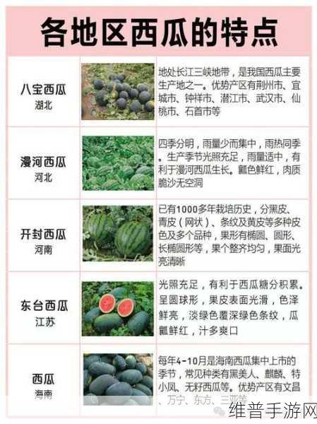 黑料吃瓜社区在线:深入探讨黑料内幕,揭秘吃瓜社区的真实故事