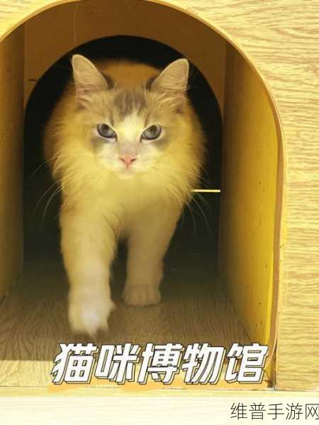 猫博物馆标本馆通关秘籍大揭秘