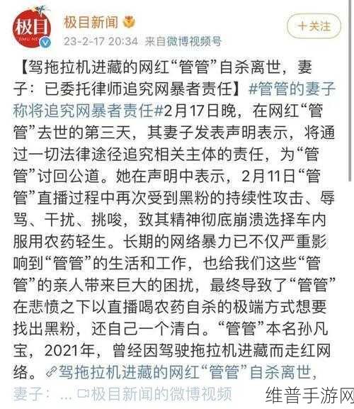 网暴黑料软件：抵制网络暴力：黑料软件的危害与对策探讨