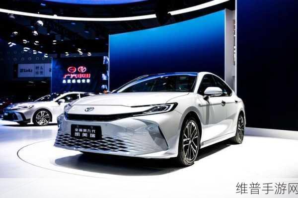 永久在线地域网名入口：拓展全球永久在线地域网络名称注册入口的全新方案