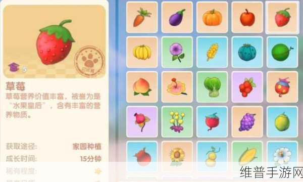 摩尔庄园手游草莓七彩汤火候全解析